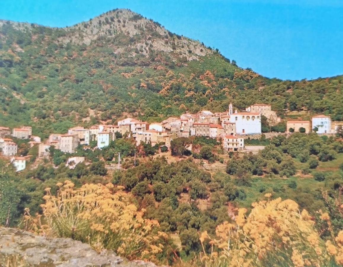 A Stalla Maison De Vacances 6 Personnes Muro  Luaran gambar